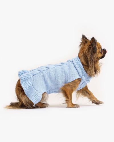 dog's wool blue sweater