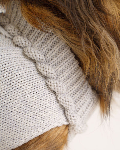 details of dog's wool sweater