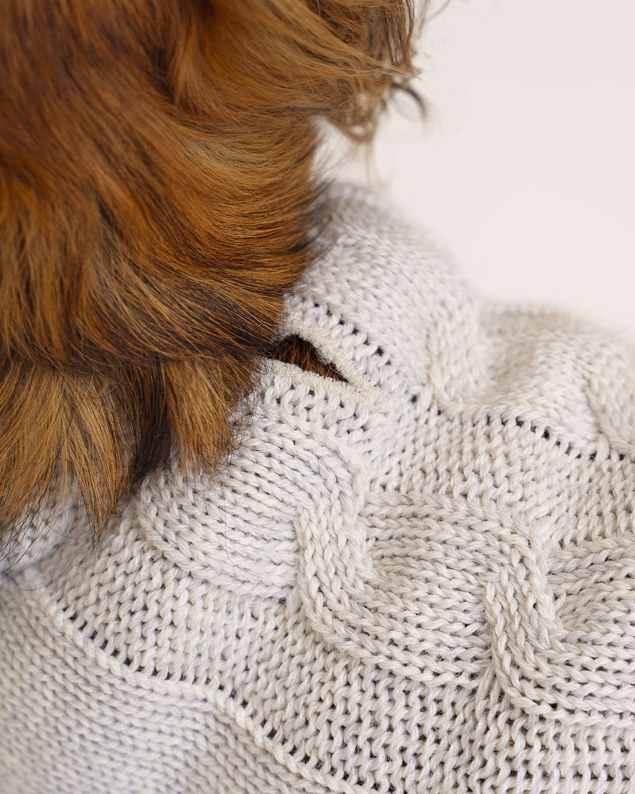 details of dog's wool sweater
