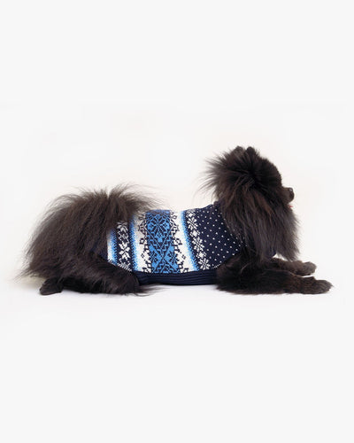 Dog's wool sweater