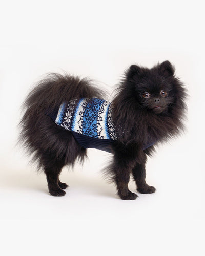 Dog's wool sweater