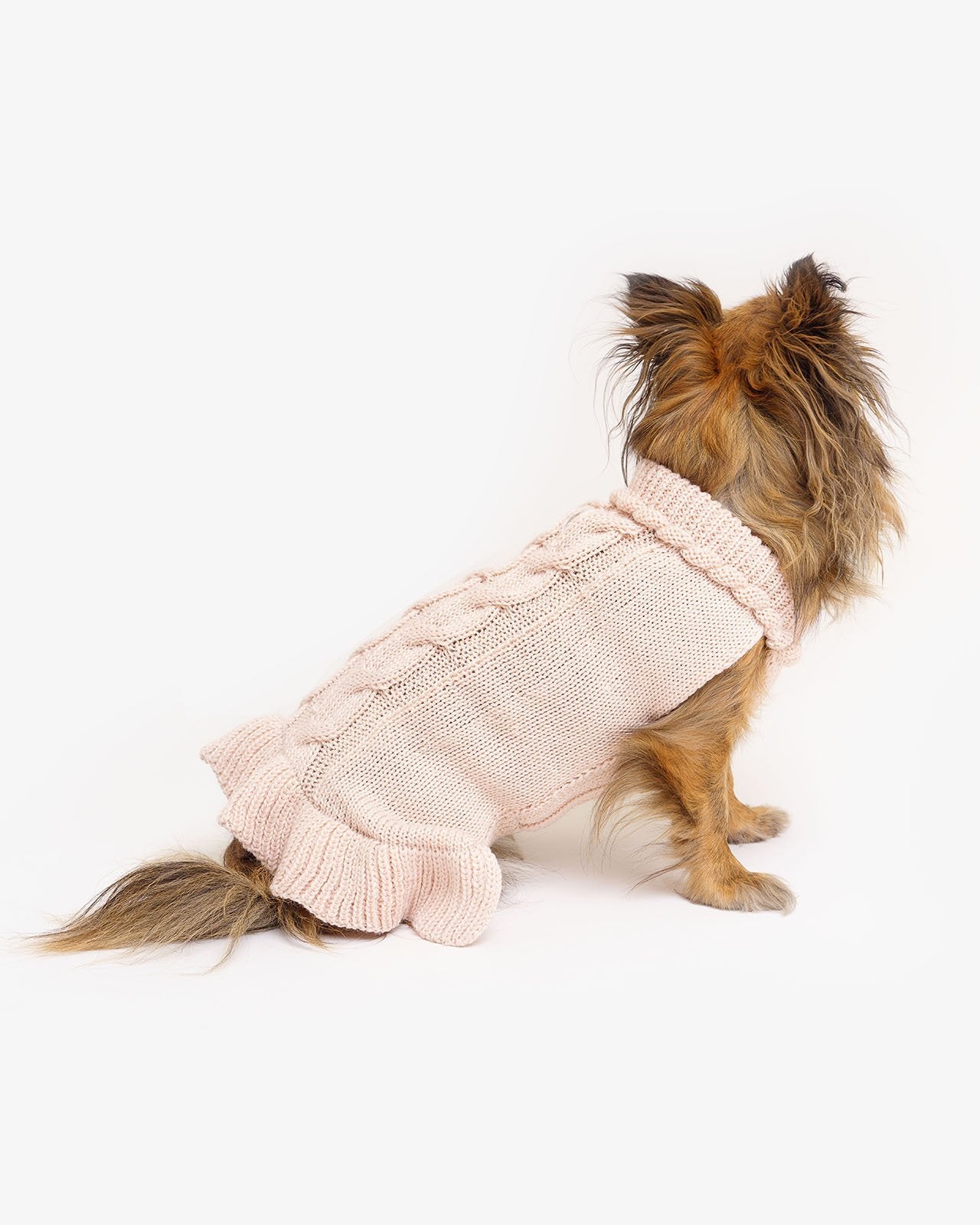 dog's wool light pink sweater