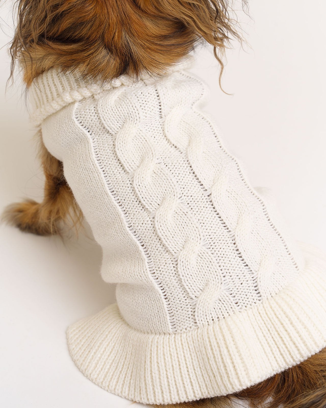 dog's wool white sweater